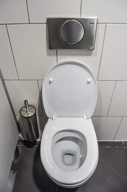 Bathroom Maintenance… Toilet Inspection